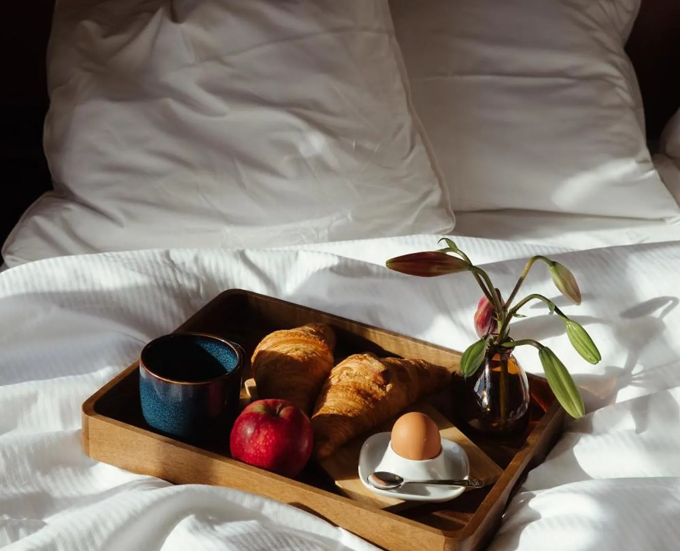 A Place Antwerp - Boutique Suites & Flats - Leeuwenstraat 20